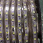 DC12V or DC24V IP68 LED Strip Light 5050 60 pcs of LED for Under Water for sale