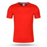 Custom 200gsm Athletic Regular Fit Quick Dry Tee 100% Polyester for sale