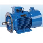 IP55 Blue Small Size AC Motor , Natural Cooling Neodymium Magnet Motor for sale