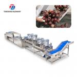 Revolutionize Your Production Process with Our Fruit And Vegetable Processing Line for sale