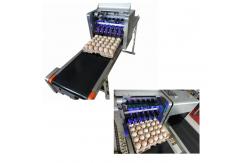 China Intelligent Date Code Printing Machine , Laser Date Code Printer For Eggs supplier