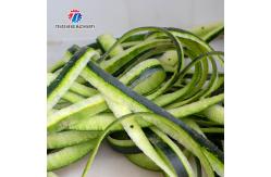 China 0.75KW 380V Multifunctional cantaloupe and wax gourd peeler Peeling and flapping machine supplier