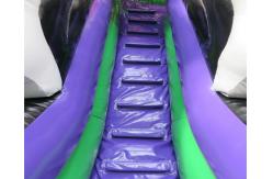 China Custom Made Mega Octopus Inflatable Water Slide Pool Toboggan Pour Piscine supplier