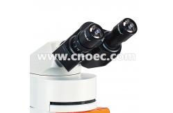 China 100X Wide Field Fluorescence Microscope Trinocular Compound Microscopes A16.0203 supplier