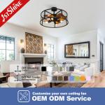 Downrod Mount Remote Control Cage Ceiling Fan 20in With Light