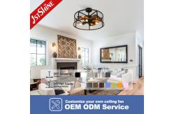 China Downrod Mount Remote Control Cage Ceiling Fan 20in With Light supplier