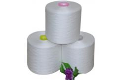 China Raw white Yarn Dyeing plastic cone 100% Polyester Ring Spun Yarn supplier