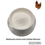 Methionine Selenium Amino Acid Chelate with 0.2% Organic Selenium and 20% Methionine for Poultry Feed Additives for sale