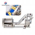 Roller washing and cutting production line Fruit Vegetable FOOD processing production Machine for sale