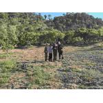 Magnetic Anomaly Drone Drone Total Field Magnetometer UAV Magnetic Gradiometer