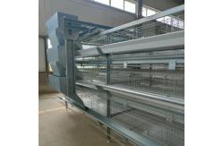 China Galvanized Steel Poultry Battery Chicken Cages 3 Tier Egg Layer Cage A4L-160 supplier