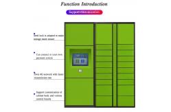 China Intelligent Package Parcel Electronic Locker supplier