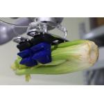 Circular Adjustable Silica Gel Soft Robot Gripper for sale