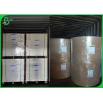 Greaseproof 140g + 15g Glossy PE Coated Kraft Paper In Roll 790mm