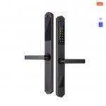 TuyaSmart Waterproof Door Lock WiFi Double Side Fingerprint Smart Lock for sale