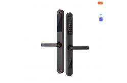 China TuyaSmart Waterproof Door Lock WiFi Double Side Fingerprint Smart Lock supplier