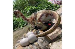 China Theme Park Equipment Realistic Animatronic Dinosaur Model Oviraptor Statue supplier