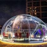 Round Transparent Bubble Tents Outdoor Bubble Tents for Outdoor Camping for sale