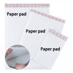 Paper Padded Envelope