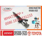 Fuel Injector Assembly  095000-8390 095000-7030 095000-6760 095000-5920  23670-09070 for sale