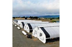 China Polytunnel Blackout Shade Small Light Dep Greenhouse Easy To Install supplier