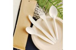 China Ecofriendly PLA Disposable Tableware Fork Spoon And Knife Set Compostable Cutlery supplier