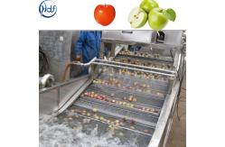 China Automatic Food Processing Machines Fruit And Vegetable Washing Equipment supplier