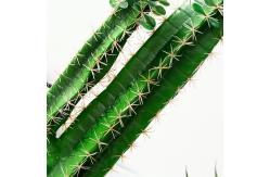 China hotel school Lifelike Artificial Cactus Plant Height 150cm Potted supplier