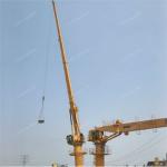 5T40M Fixed Boom Shipyard Crane