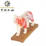 28cm Cat Acupuncture Model Chinese Medical Teaching Acupuncture Body Model PVC for sale