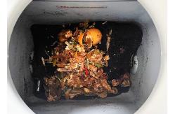 China Garbage Recycling Home Composting Machine 5kg Food Cycler Indoor Kitchen Composter supplier