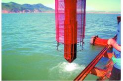 China Superior Dynamic Performance Electric Bottom Feed Vibroflot For Vibroflotation Equip supplier