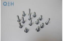 China DIN608 Short Square Neck CL8.8 Carbon Steel Bolt supplier