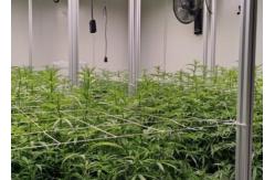 China Custom Aeroponics Hydroponics System For Planting supplier