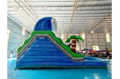 China Factory Commercial Summer Inflatable Water Slides Inflatable Slides Castle supplier
