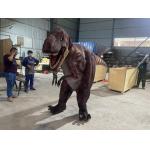 Life Size Customization Realistic Dinosaur Costume For Playroom