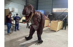 China Life Size Customization Realistic Dinosaur Costume For Playroom supplier