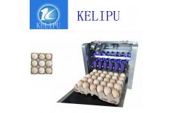 China Clear Egg Inkjet Coding Printer With Unique Spray Hole Alignment Function supplier