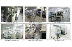 China 7 Segment LCD Display manufacturer