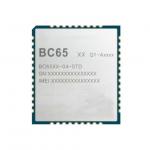 Wireless Communication Module BC65PB-04-STD
 LTE Transceiver Module 58-SMD Module
 for sale