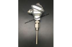 China Inserted Temperature Sensor RTD PT100 With Waterproof Head supplier