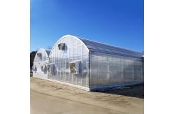 China Agricultural Polycarbonate Sheet Greenhouse Turnkey Project Serre Agricole Intelligent supplier