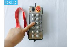 China 12 Way Single Speed Explosion-Proof Remote Control supplier