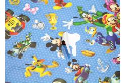 China Bumper Hardcover Sticker Book Printing , Custom Business Garment Decal Printing Service supplier