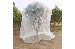 China Fine Mesh Garden Netting Anti Bird And Insect For Garden Protection supplier