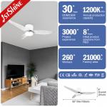 Low Ceiling 52 Inch LED Ceiling Fan with Smooth Operation and Flush Design