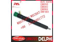 China Hyundai 2.9CRDI DELPHI Diesel Fuel Injector EJBR02401Z EJBR02901D HRD334 supplier