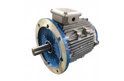China IE5 Line Start Permanent Magnet Motor , IP68 AC Synchronous Electric Motor supplier