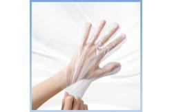 China Food Handling Transparent Disposable Polythene Gloves Temperature Resistance supplier