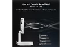 China Folding Portable Pedestal Fan Free Standing 4.1m/s Wind Speed supplier